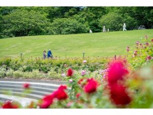 【群馬県前橋市】「Gunma Flower Park＋」で、バラやアジサイの見頃に合わせた無料直行バスを運行！ - STRAIGHT PRESS[ストレートプレス]