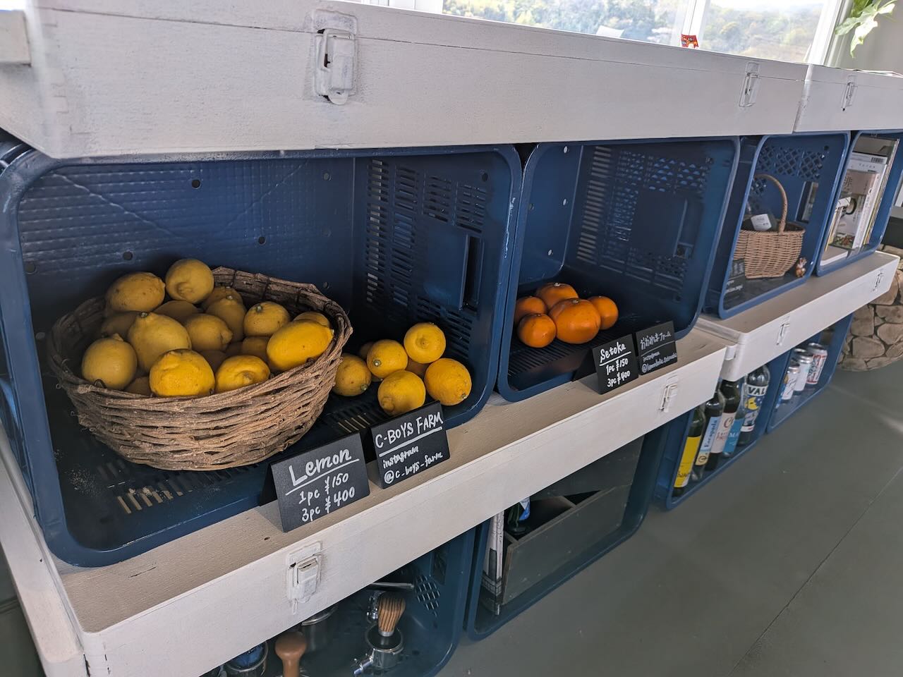 BLUE ROSE COFFEE　カフェ　しまなみ海道　ドーナツ　物販　近影