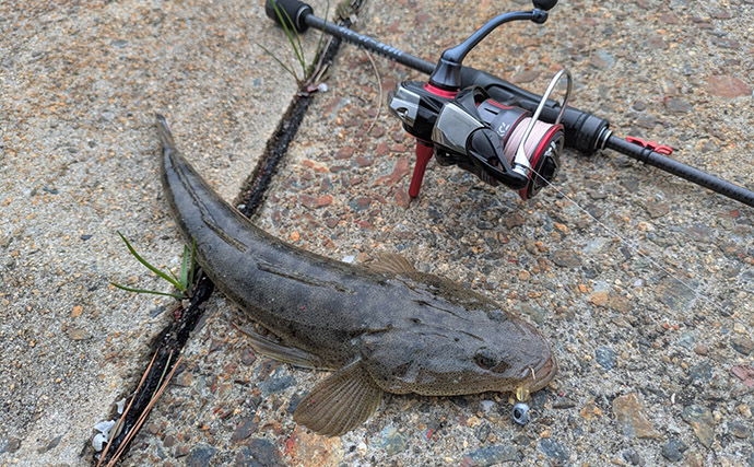 紀北から中紀をラン＆ガン！【和歌山】ライトソルトゲームでメバルにカサゴにマゴチ手中