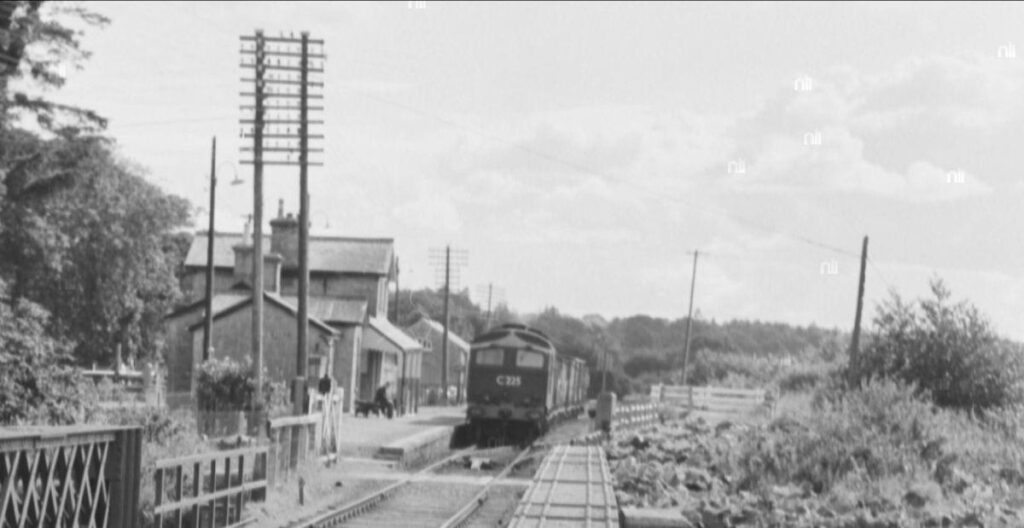 10年ほど前にアデア駅を21万6,000ユーロで売却した後、アイルランド鉄道は200万ユーロを払って駅を買い戻し、ライダーカップの臨時プラットフォームを建設