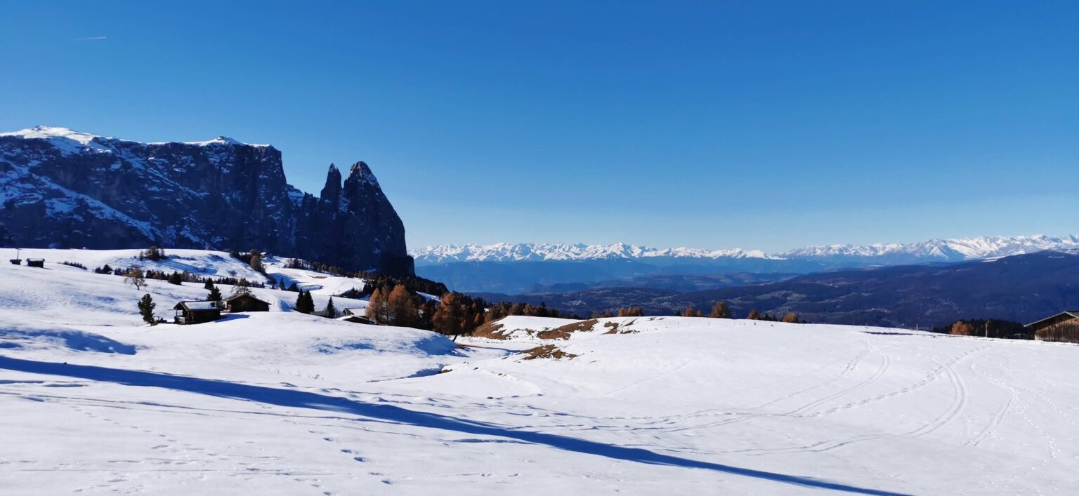 カフェ イタリア * 12/04/26