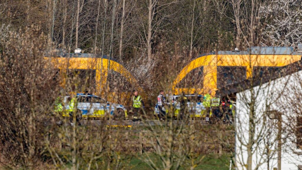 グリブスコフ線で列車２台が衝突、数名が負傷