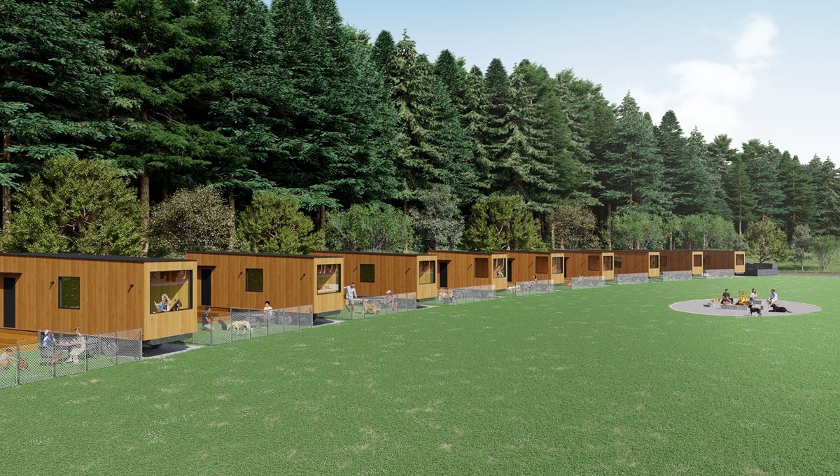 ラフラフ千葉（提供写真）