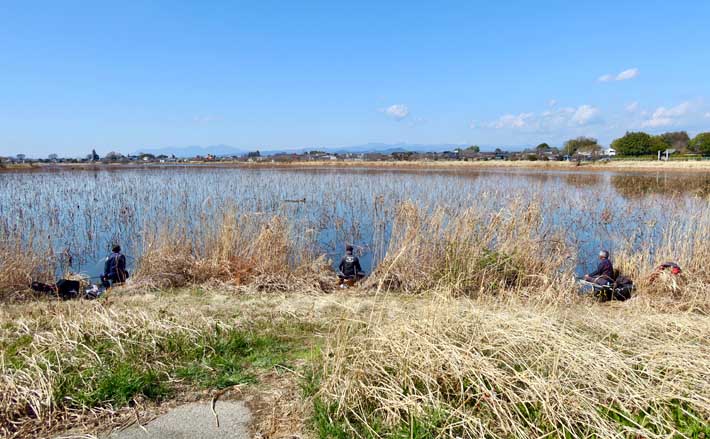 今週のピックアップ!ヘラブナ釣り場2026【群馬県・城沼】 – エキサイトニュース 今週のピックアップ!ヘラブナ釣り場2026【群馬県・城沼】 - エキサイトニュース