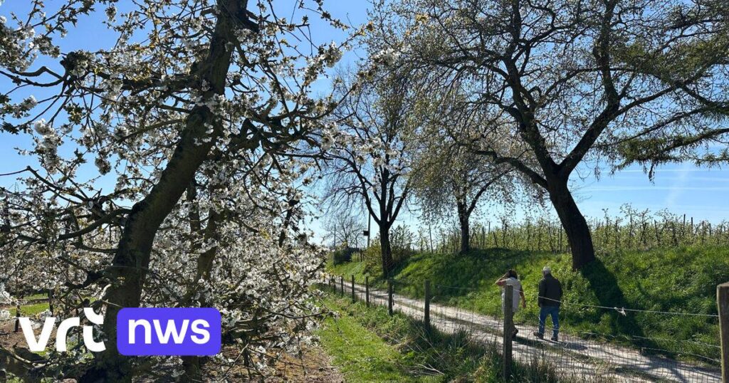 連邦政府は店舗の強制休業日を廃止し、今後は午後9時まで営業する。