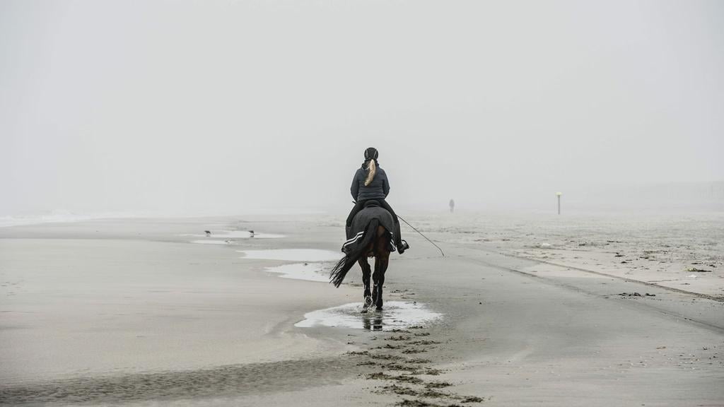 オランダには新しい国立公園「Hollandse Duinen」があります