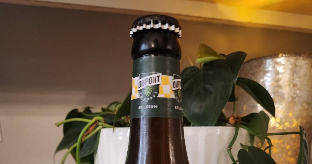 ビールのレビュー - ブラッスリー デュポンのセゾン デュポン