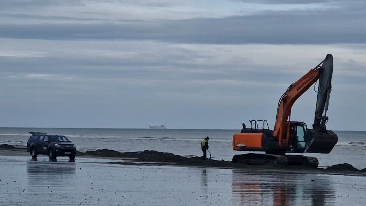 彼らは今日ビーチで何をしていますか?