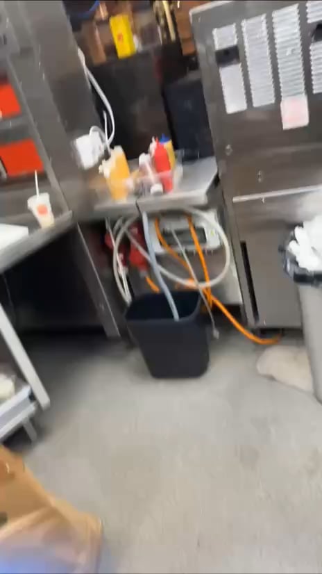 バーガーキングのヨンショーピング・エハーゲンのネズミ。