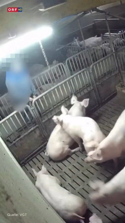 生き物に小便をしないためにはどんな訓練が必要なのか本当に疑問です