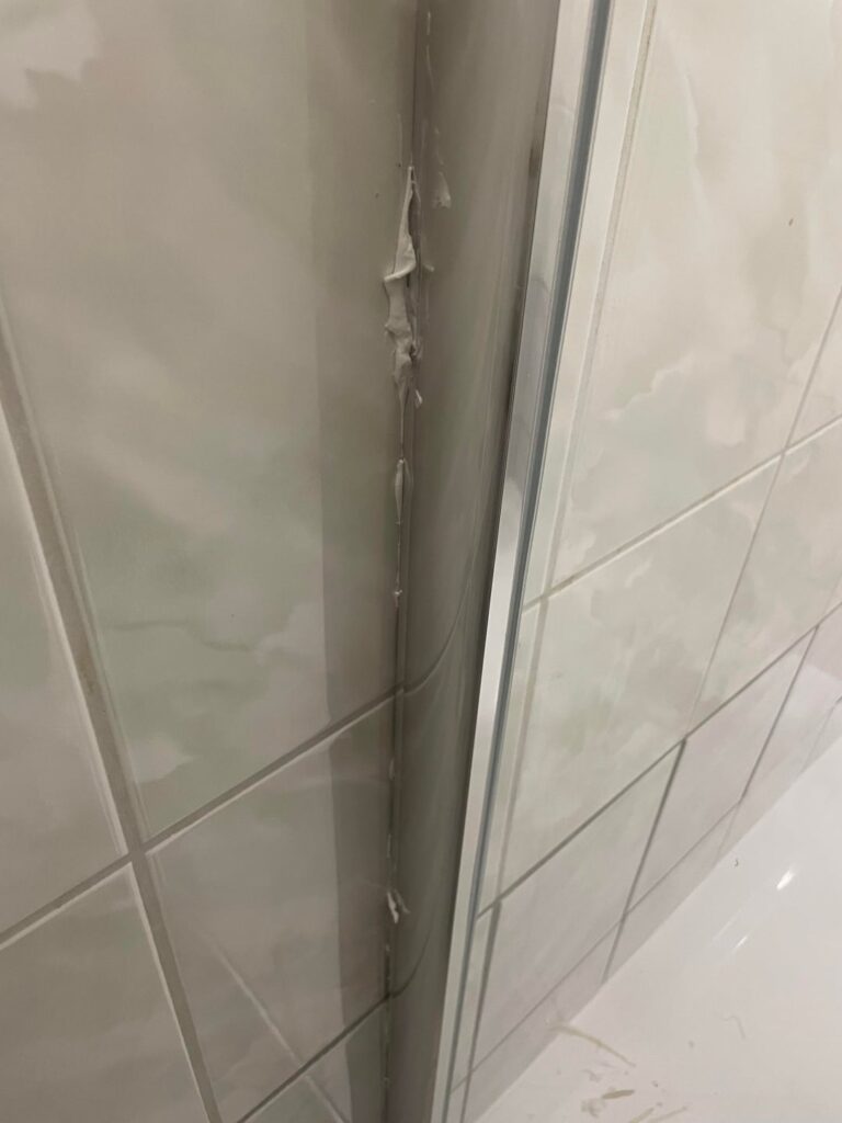 職人は私をダメにしようとしている