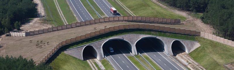 なぜポーランドには他の地域よりもこれほど多くのこうしたものが存在するのでしょうか?