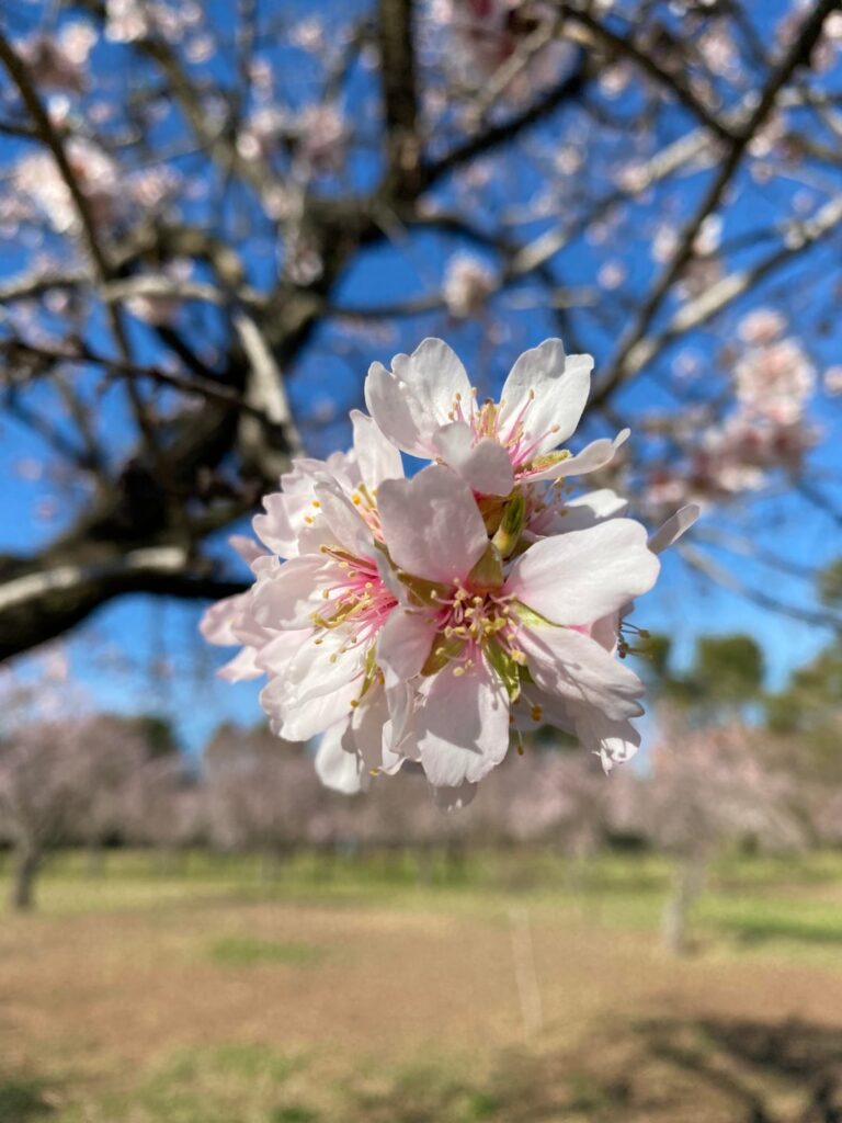 素晴らしい場所