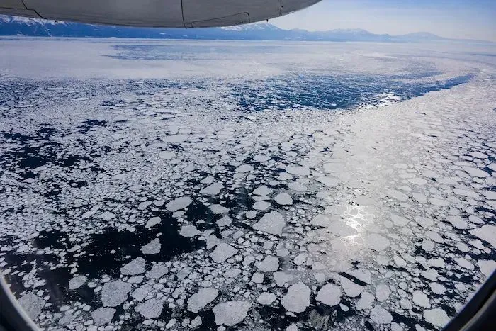知床半島沖に押し寄せる流氷（2026年2月10日撮影、北海道新聞掲載写真）