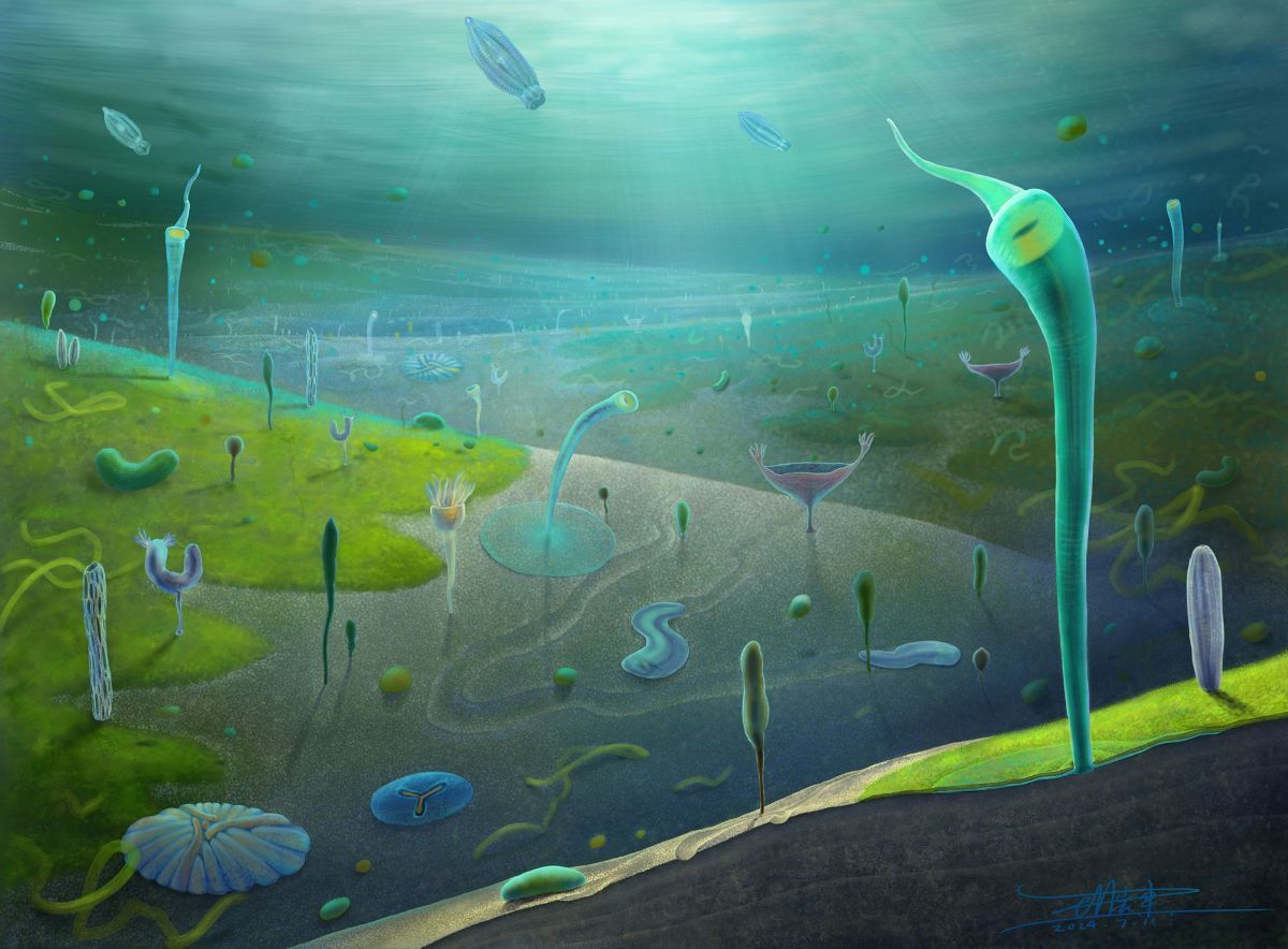 化石に基づいて描かれた約5億5400万年前から5億3900万年前の江川生物群のイメージ図/Xiaodong Wang via CNN Newsource