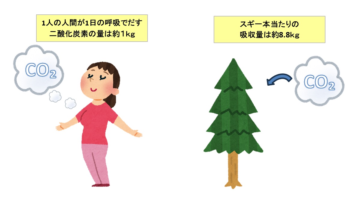 二酸化炭素の排出量の例