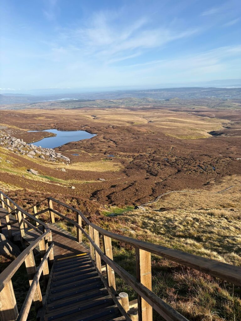 …数週間で驚くべき違いが生まれる (Cuilcagh)