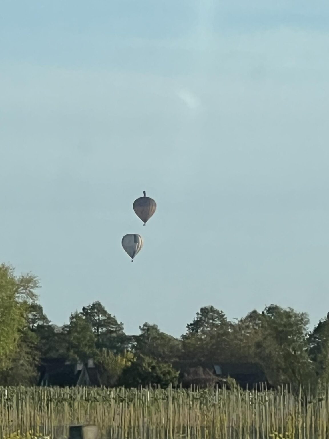 これは何ですか？