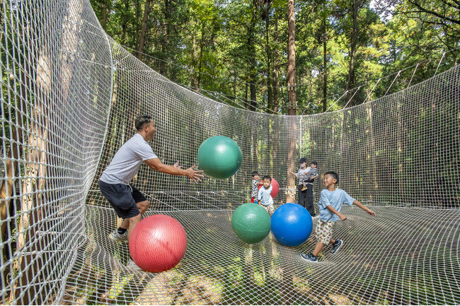 【鹿児島県初】樹上のネット内で遊ぶ“新体験” お子さまから大人まで家族みんなで樹上で遊ぼう！ | 鹿児島・九州プレスリリース | 生活情報 | くらし