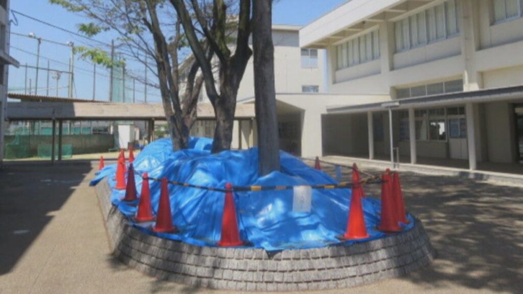 多度津高校の土壌から基準値超える有害物質を検出　健康被害は確認されず　香川 | KSBニュース | KSB瀬戸内海放送