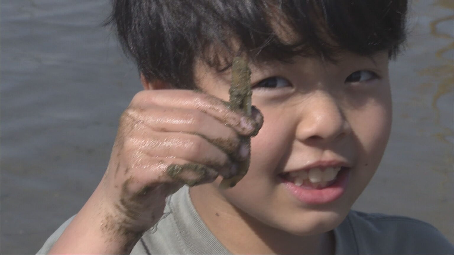 姫路白浜潮干狩り場 初日から家族連れでにぎわう - サンテレビニュース