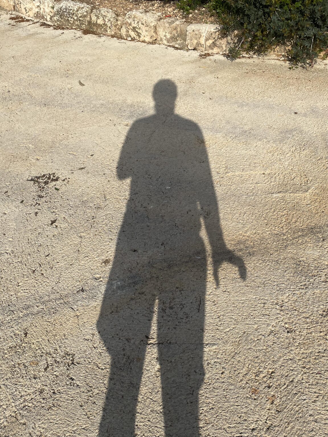 太陽を背にするたびにレゴ手を作る人もいますか?