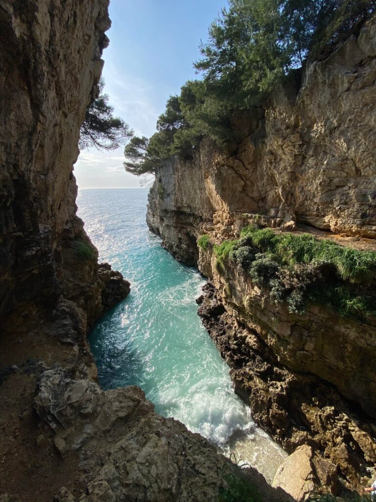 プーラ、写真はすべて携帯電話で撮りました