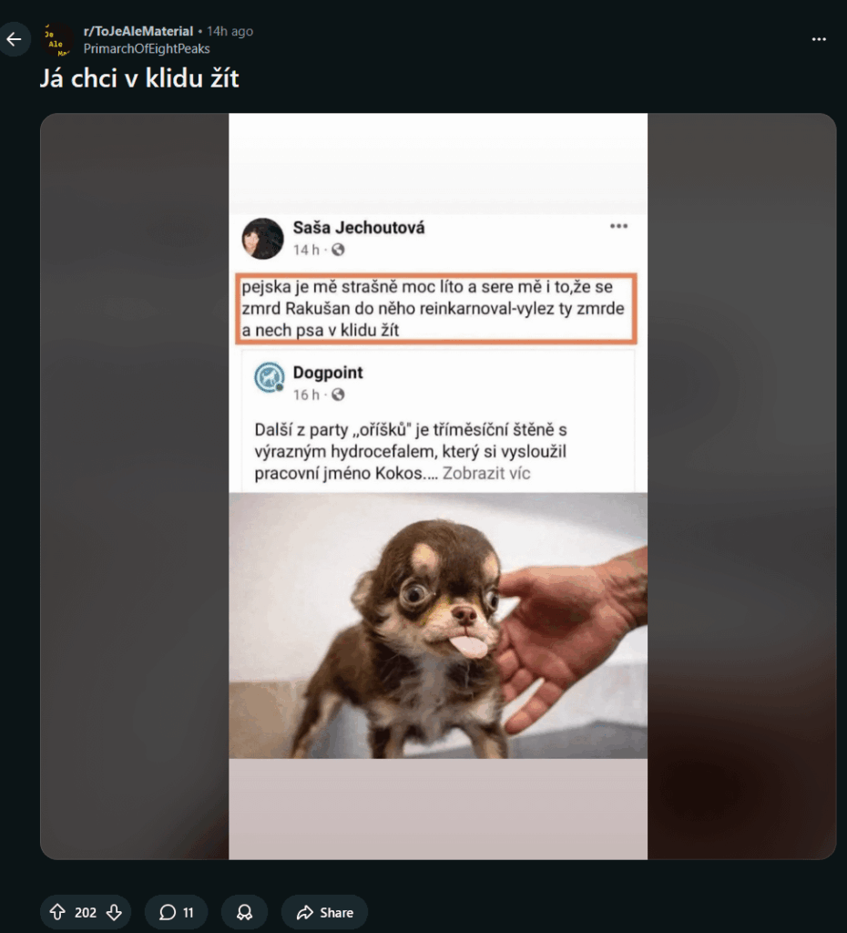 この人たちは鶏小屋を何してるの？