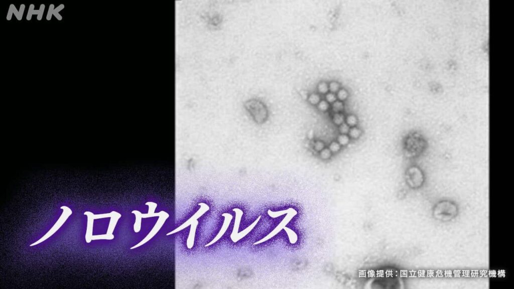 ノロウイルス 新たな変異ウイルスが国内外で拡大 研究グループ