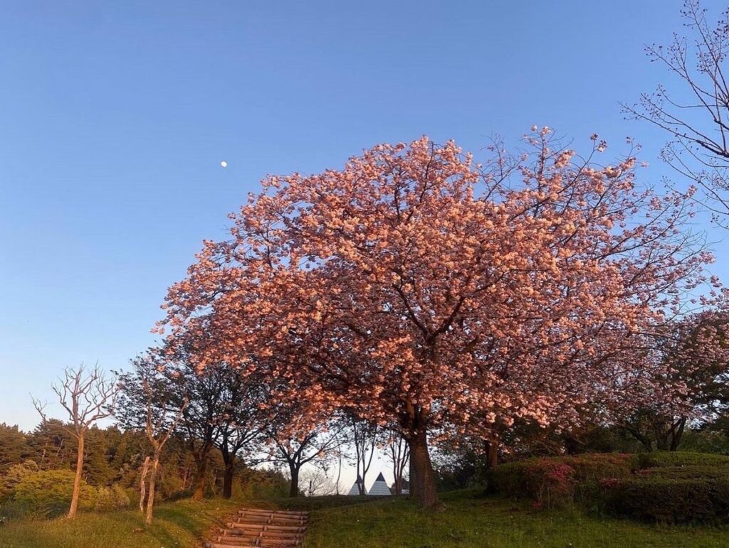 私の春を始めるために、秋田を歩く。思いつき、ひとり旅1。 写真と文：祷 キララ (女優) #1