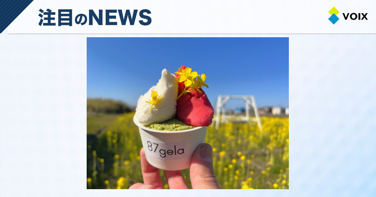 87gelaが1周年リニューアル！愛犬と共に楽しむ屋根付きテラスの魅力