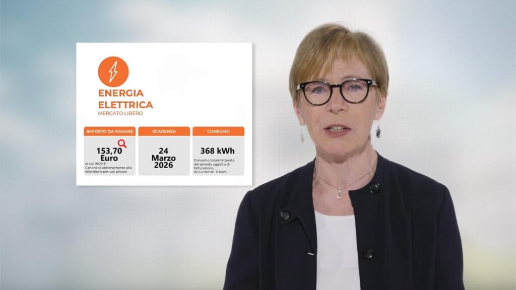 高額な請求書: ガスへの依存を減らすための 180 億はどうなったのでしょうか? |ミレナ・ガバネッリ