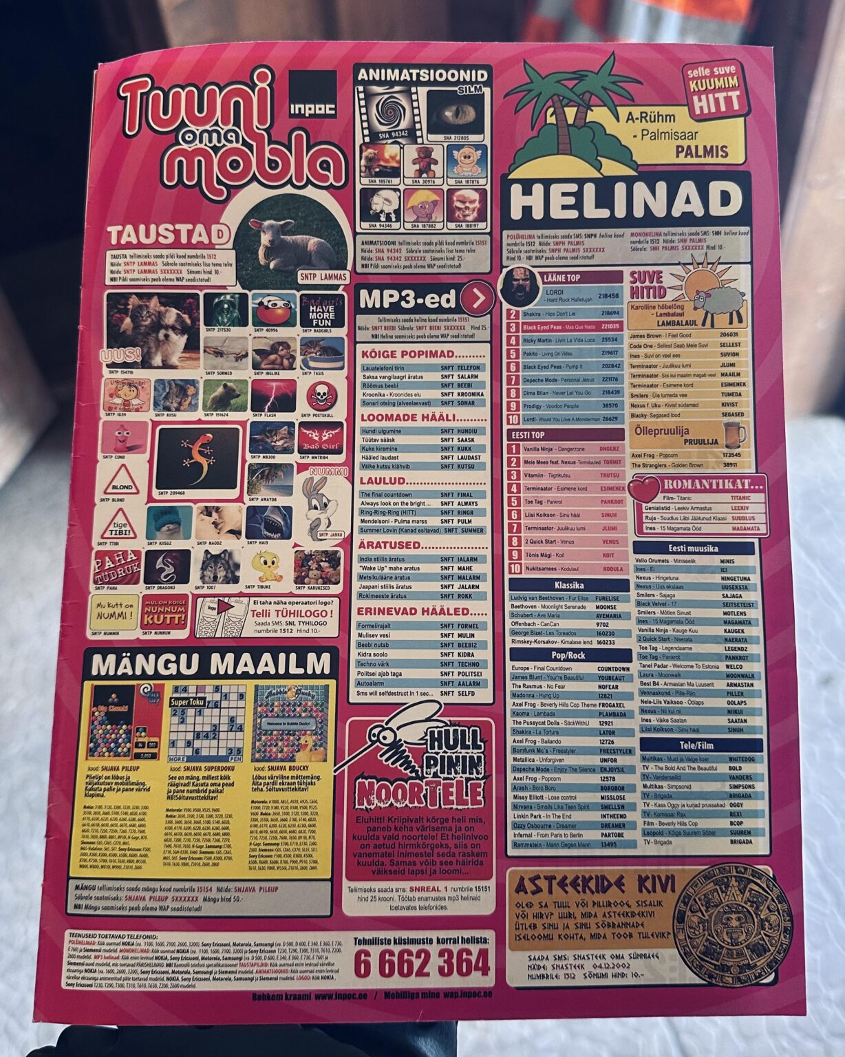 その年は2006年でした