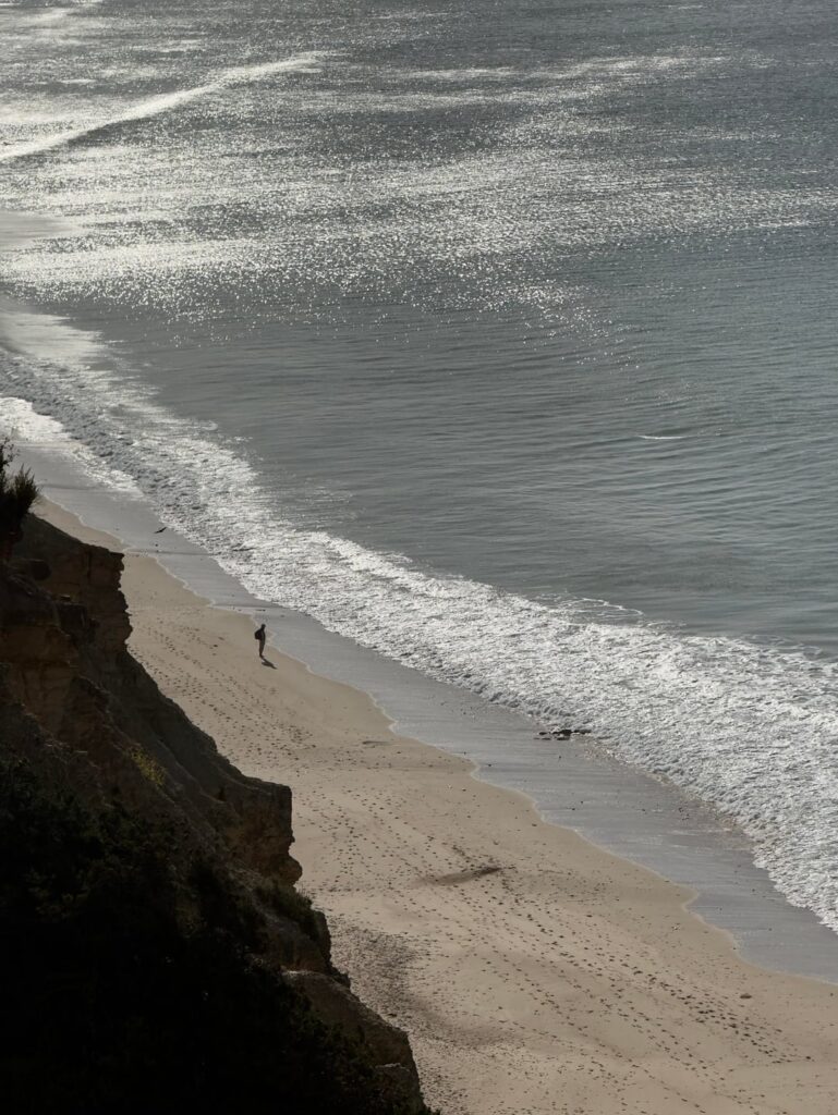ポルトガルへの愛の告白。