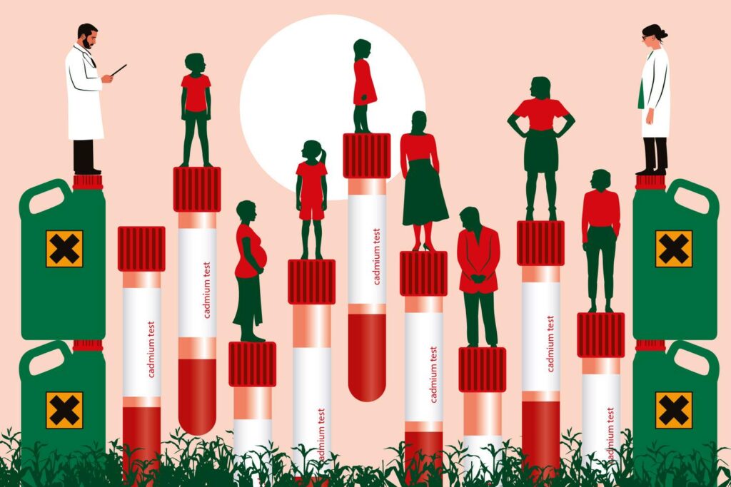 カドミウム検査は間もなく補償されるが、医師らは「制限的すぎる」と判断：「フランス人には知る権利がある」