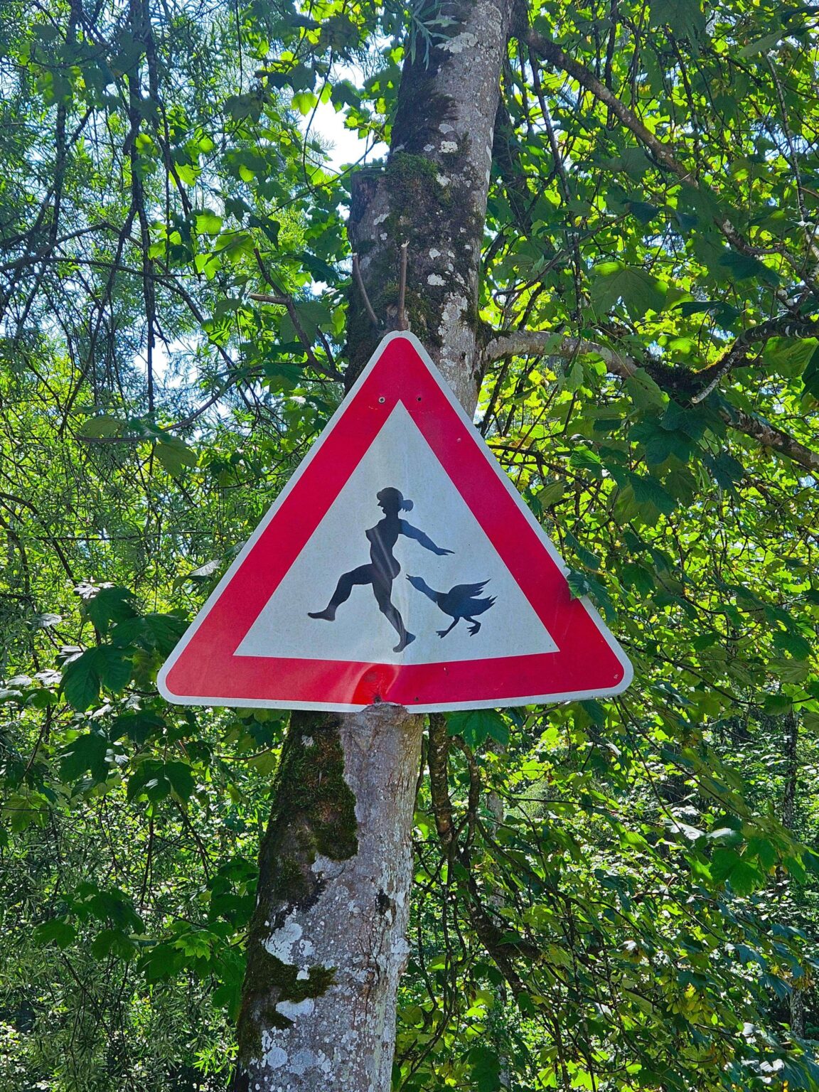 ドイツの村で見つけた、冗談だと思います