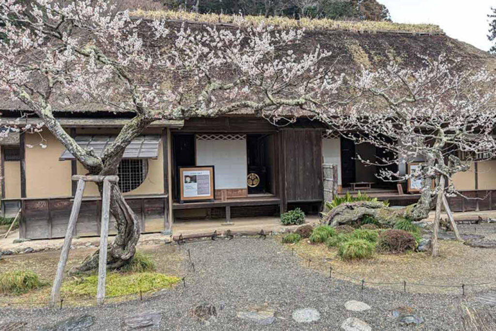 水戸黄門ゆかりの地、袋田の滝、海鮮… 茨城県の魅力をプレゼン！ 「Google Pixel プロダクトスペシャリスト」と巡る観光スポット