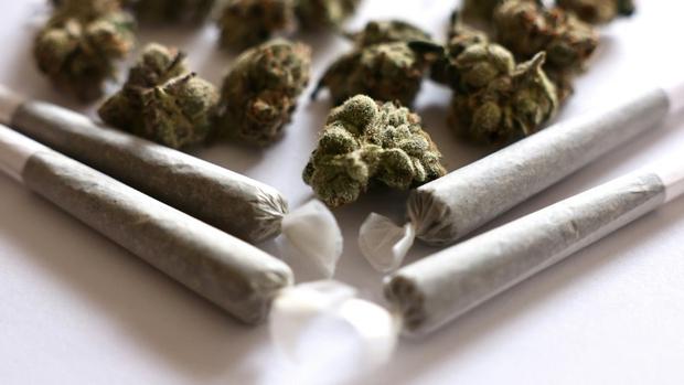 検査結果は重大なリスクを浮き彫りに：ルクセンブルクで合法的に販売されている大麻のつぼみから危険な合成カンナビノイドが検出