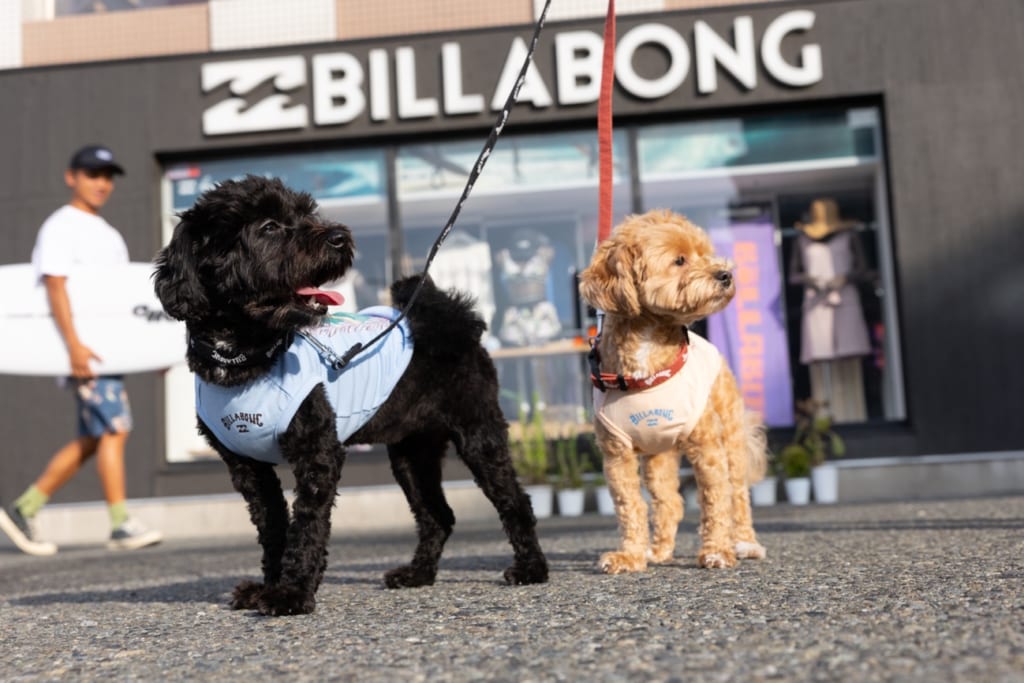 BILLABONGから日本発となるドッグウェアがリリース！ 4月25日（土）七里ヶ浜のPacific DRIVE-INでローンチイベントを開催 | FINEPLAY