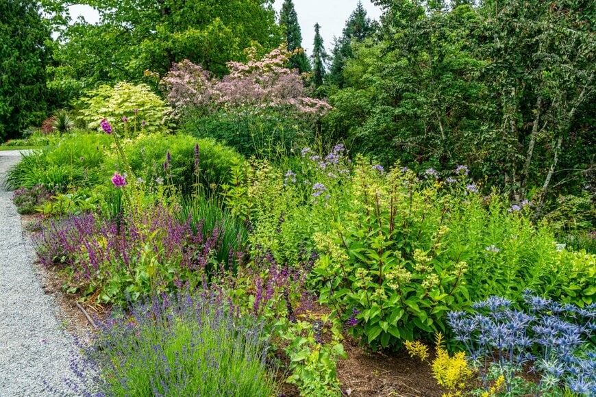 イングリッシュガーデン風の花壇