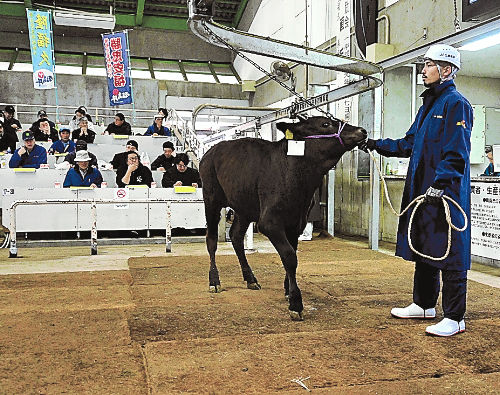 和牛初競り前年上回る　ＪＡ全農福島　平均８４万４３９０円