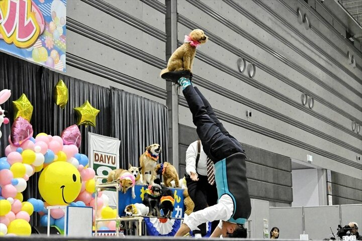 動物との触れ合い楽しむ　５日までペットカーニバル　福島県郡山市
