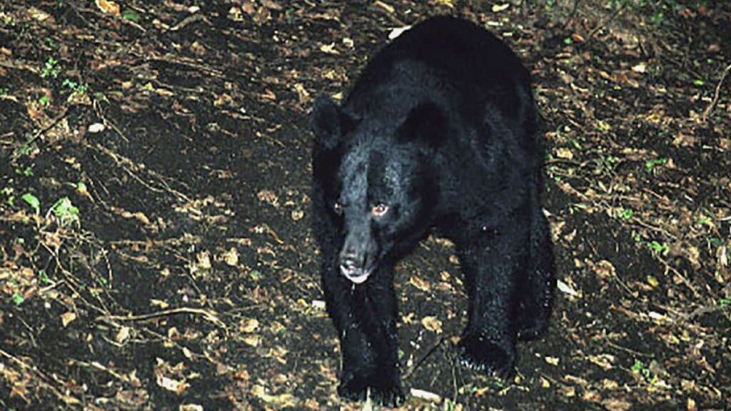 JBpress Innovation Review powered by JBpress