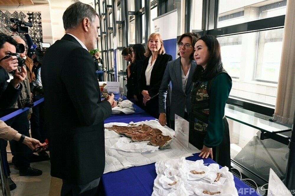 フランス下院が略奪した文化財返還法案を全会一致で可決　写真1枚　国際ニュース：AFPBB News