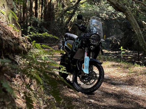 都心から1時間ほどの林道へ。この日は天気がよく、気温も19℃まで上がりました。木漏れ日が気持ちいい