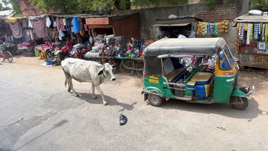 1日100トンの牛糞をバイオガスに…原油急騰のインドに軽自動車の神･鈴木修が残したとんでもない置き土産 | PRESIDENT BOOKS | ベストセラー著者と読者をつなぐメディア