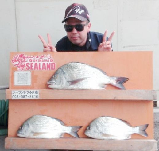 春に産卵シーズン迎える沖縄の人気魚チンシラー　釣り人の探究心を刺激　10日間で5尾 | 沖縄の釣り情報 有釣天 | 沖縄タイムス＋プラス