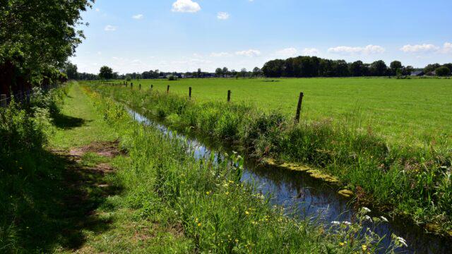 ヴローゲ・フォーゲルスのジェレ・ロイマー氏：「農業セクターはあなたが望む以上に多くのことを破壊しています」