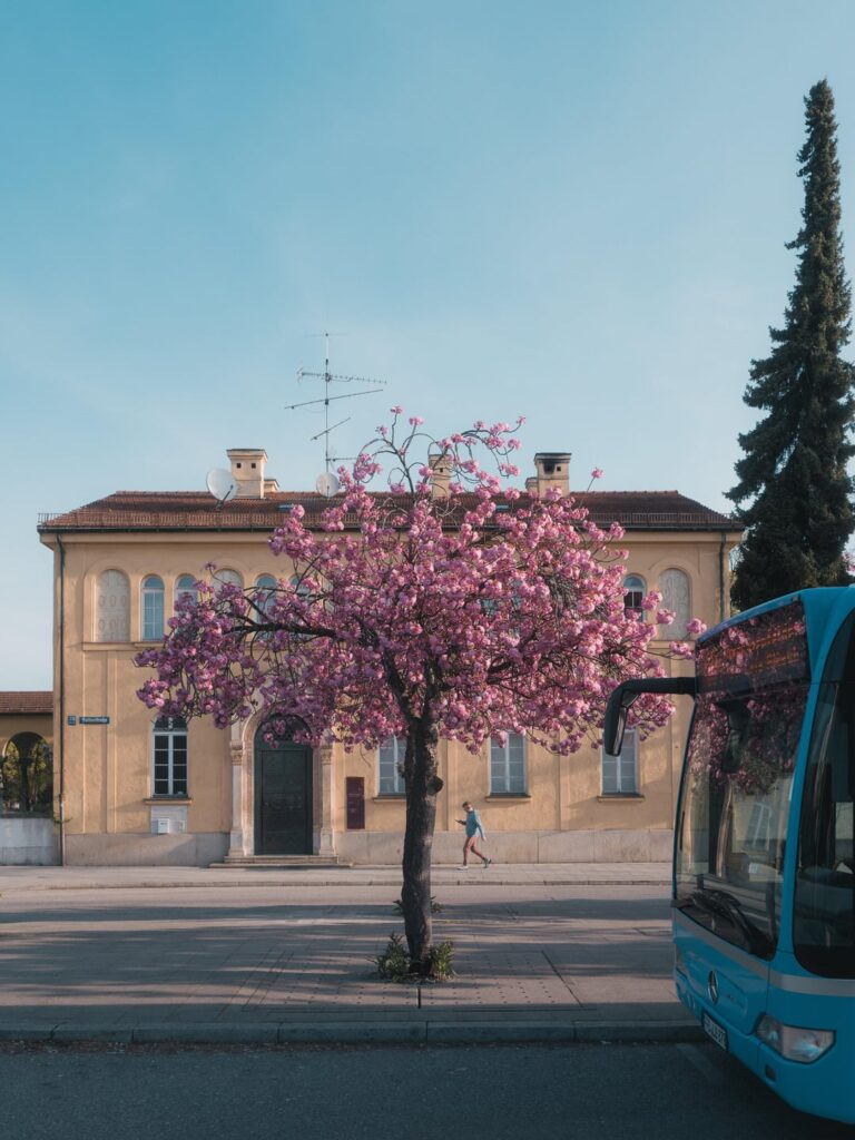 ここはドイツで最も美しいバス停ですか?