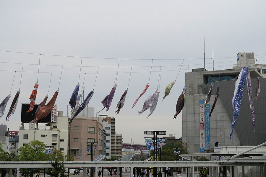 ジンベエザメやワモンアザラシ、カマイルカなど21種・27体のオリジナルのぼりがずらり（4月12日・海遊館／Lmaga.jp撮影）